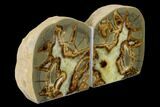 Calcite Filled Septarian Bookends - Utah #149909-3